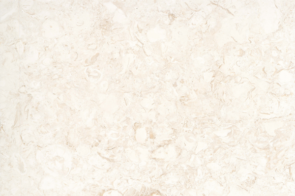 Picture of Emser Tile - Extero Shell Limestone