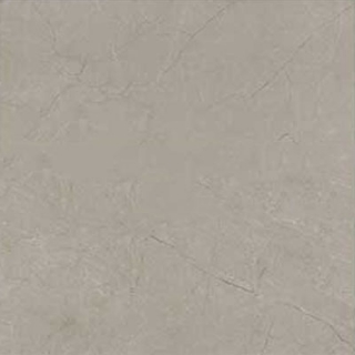 Picture of Marazzi - Classentino Marble 24 x 24 Matte Coliseum Gray
