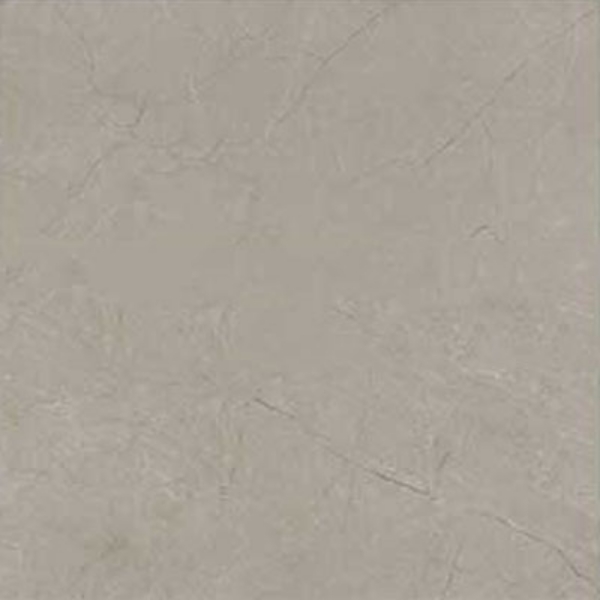 Picture of Marazzi - Classentino Marble 24 x 24 Matte Coliseum Gray