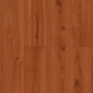 Picture of SFI Floors - Encore Bryce Canyon