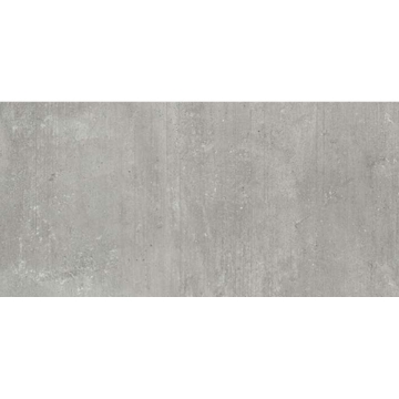 Picture of Milestone - Plus One 24 x 48 Paver Ash