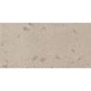 Picture of Milestone - Lith 24 x 48 Matte 8mm Antique Cream