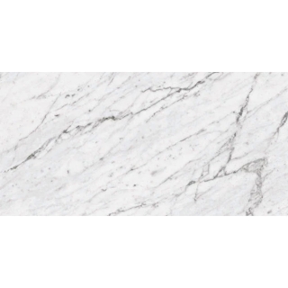 Picture of Milestone - Marbles 24 x 48 Matte 8mm Carrara White