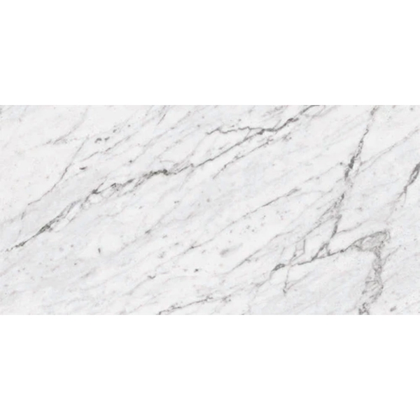 Picture of Milestone - Marbles 24 x 48 Matte 8mm Carrara White