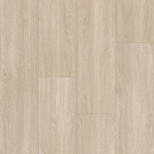 Picture of Happy Feet Intl. - Urban Design 12 Sydney