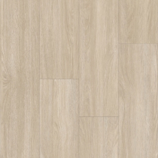 Picture of Happy Feet Intl. - Urban Design Click Sydney