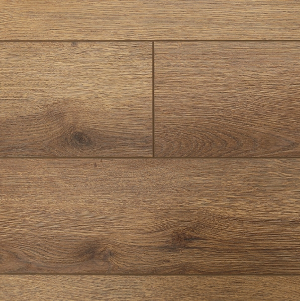 Picture of Audacity - Harmony 5.2MM Pheasant