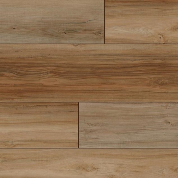 Picture of Audacity - Sonata 5.2MM Avalon