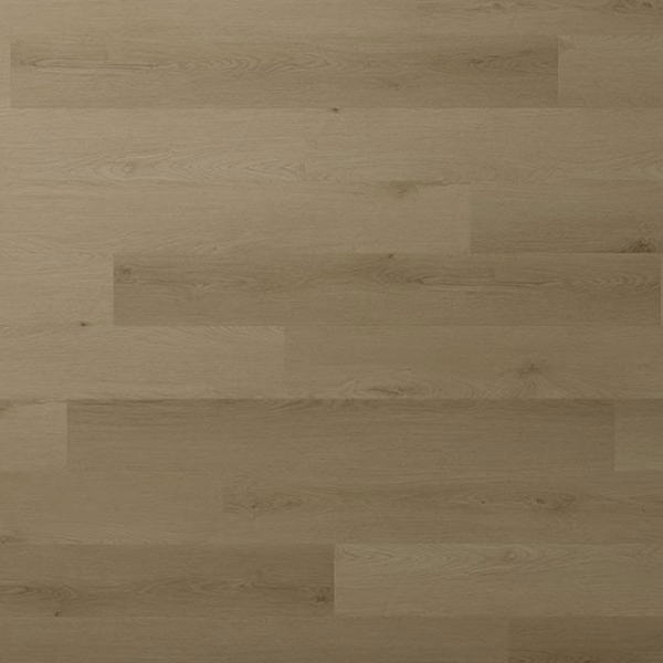 Picture of Audacity - Audacity One Mauldin