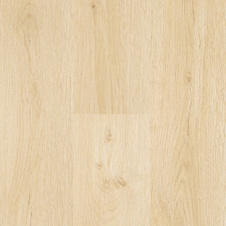 Picture of Next Floor - Waters Edge Sand Dunes