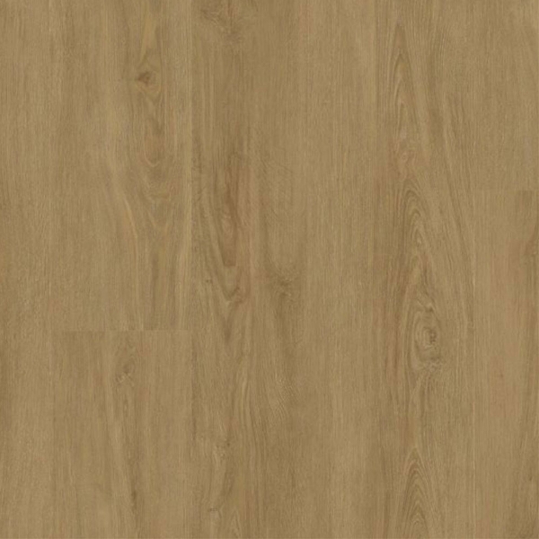 Picture of Tmbr. - Yosemite Big Horn