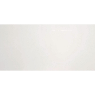 Picture of American Wonder Porcelain - Arctic Style 24 x 48 Arctic White Polished