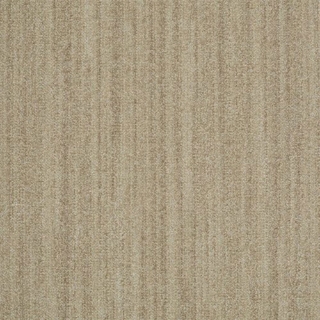 Picture of Shaw Contract - Earth Tone Yucca