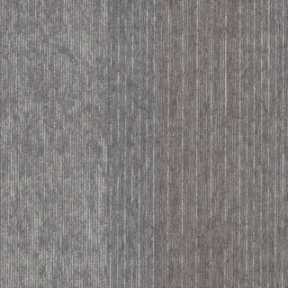 Picture of Shaw Contract - Arrange Metallic Beige