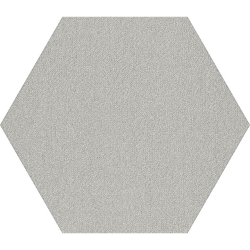 Picture of Shaw Contract - Plane Hexagon Titanium