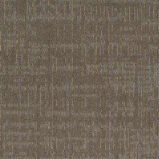 Picture of Shaw Contract - Intent Sierra