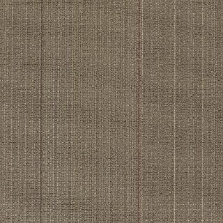 Picture of Shaw Contract - Disperse Annual