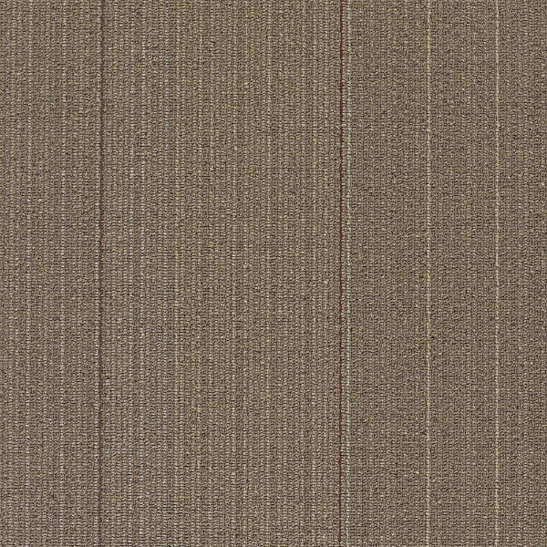 Picture of Shaw Contract - Disperse Annual