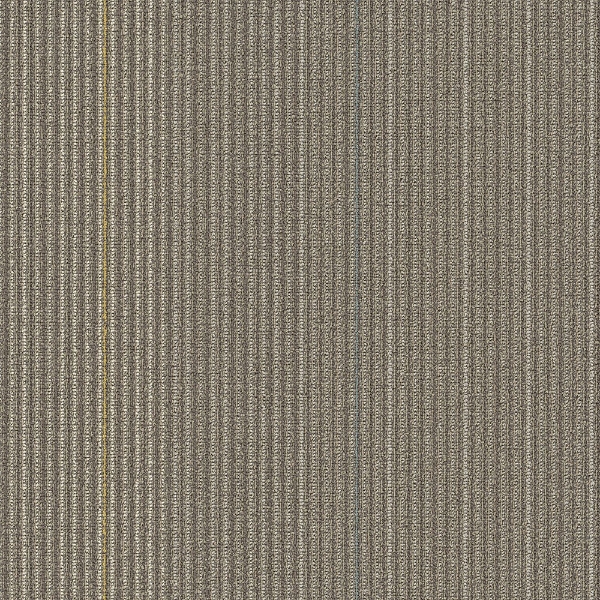 Picture of Shaw Contract - Disperse Road Trip