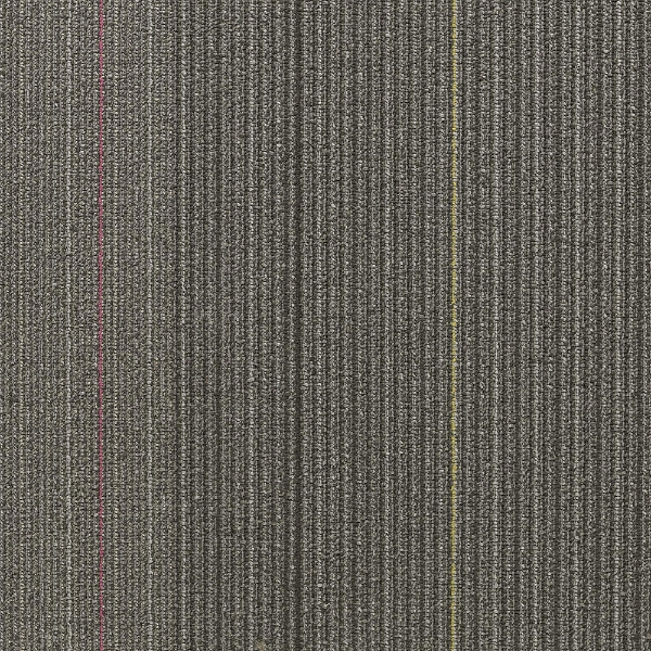 Picture of Shaw Contract - Disperse Navigation