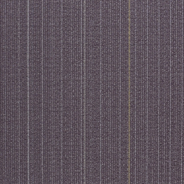 Picture of Shaw Contract - Disperse Seasonal