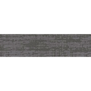 Picture of Shaw Contract - Establish Network