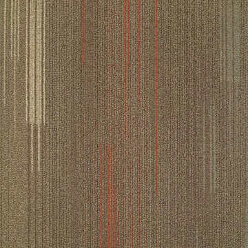 Picture of Shaw Contract - Visible Aspect