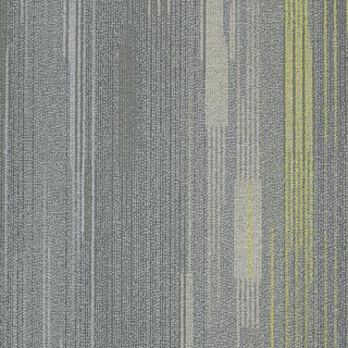 Picture of Shaw Contract - Visible Glare