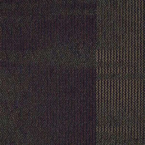 Picture of Shaw Contract - Color Play Black To Business