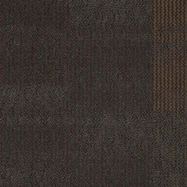 Picture of Shaw Contract - Color Play Copper Frost