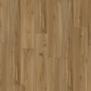 Picture of Chesapeake Flooring - ProSolutions SPC 20 Plank Rainfall