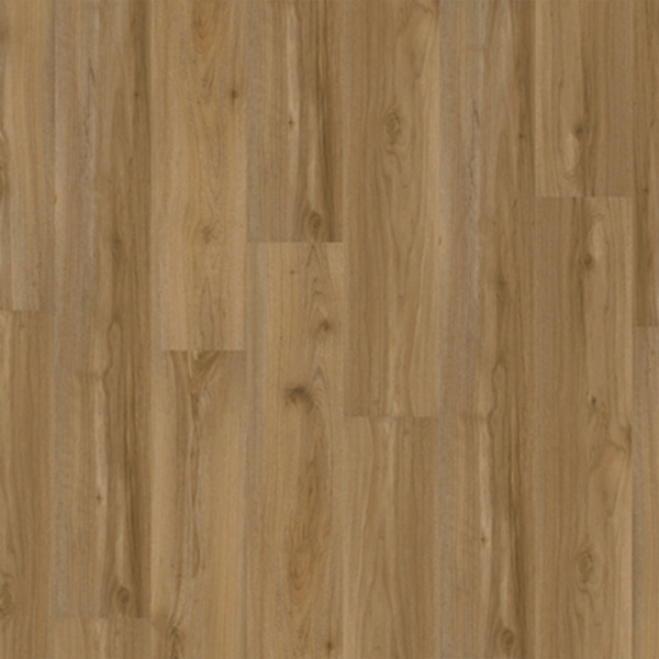 Picture of Chesapeake Flooring - ProSolutions SPC 20 Plank Rainfall