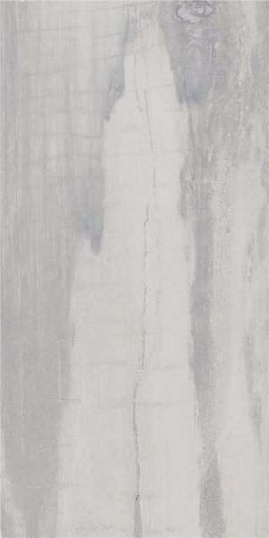 Picture of Happy Floors - Fossil 12 x 24 Pearl