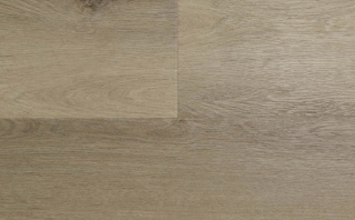 Picture of Audacity - Audacity One Mauldin