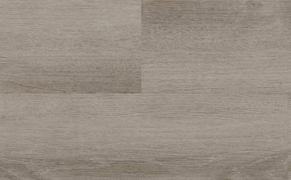 Picture of Audacity - Audacity One Noland