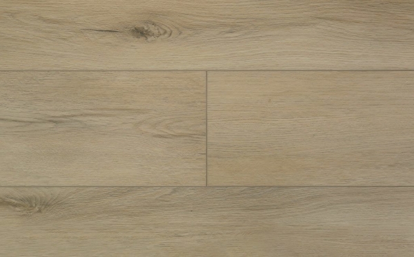 Picture of Audacity - Audacity One Ellington