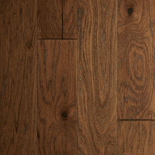 Picture of Azalea Lane - Windsor Park Chestnut