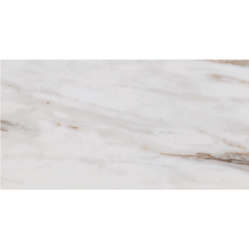 Picture of Roca - Calacatta Gold 12 x 24 Calacatta Gold Matte