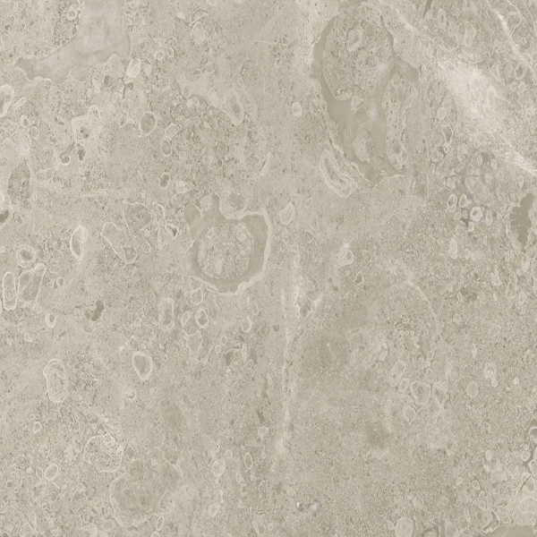 Picture of Anatolia Tile & Stone - Ritz Gray 12 x 24 Ritz Gray