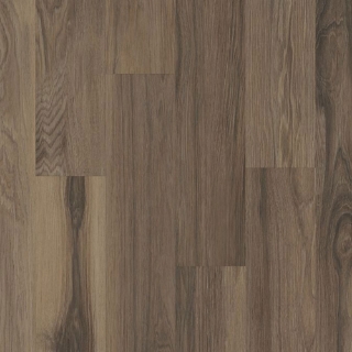 Picture of Philadelphia Commercial by Shaw - Silva Valley 5.0 Falls Creek