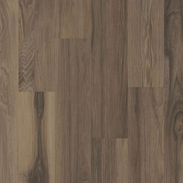 Picture of Philadelphia Commercial by Shaw - Silva Valley 5.0 Falls Creek