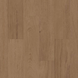 Picture of Philadelphia Commercial by Shaw - Silva Valley 5.0 Grand Arches