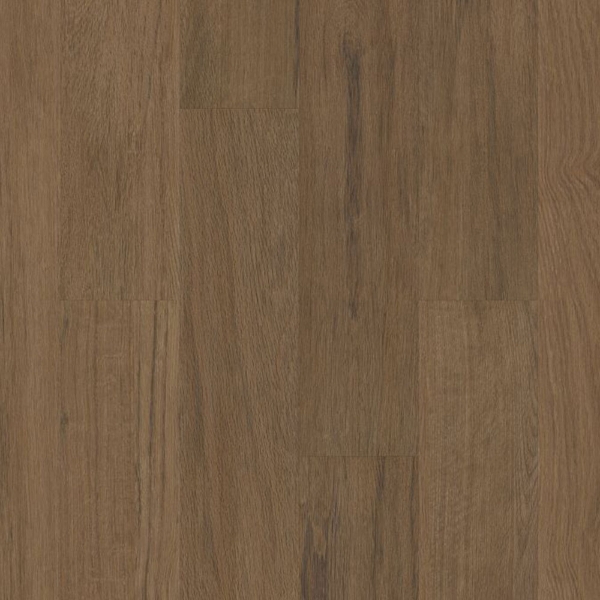 Picture of Philadelphia Commercial by Shaw - Silva Valley 5.0 Sedona