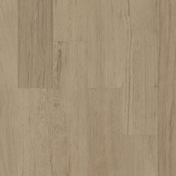 Picture of Philadelphia Commercial by Shaw - Silva Valley 5.0 St Helens