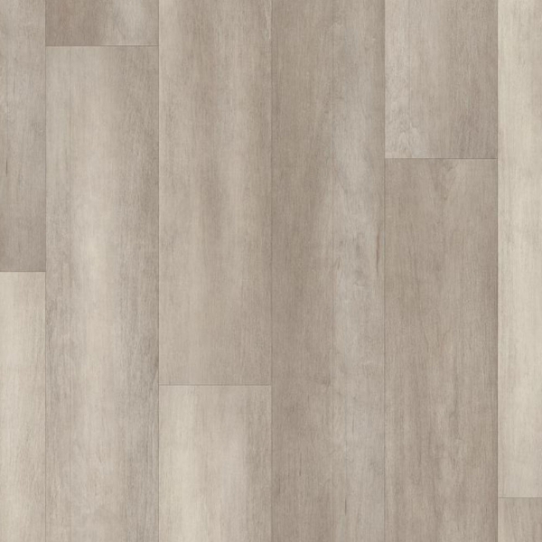 Picture of Philadelphia Commercial by Shaw - Philosophers Tree Pyrite