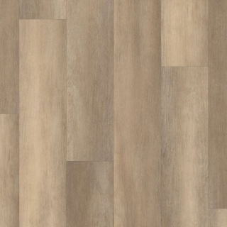 Picture of Philadelphia Commercial by Shaw - Philosophers Tree Honeycomb