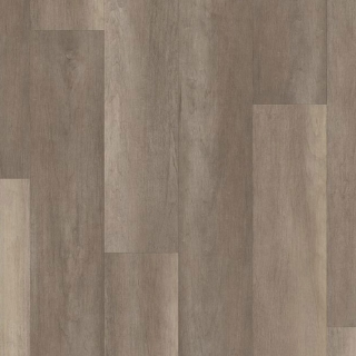 Picture of Philadelphia Commercial by Shaw - Philosophers Tree River Rock