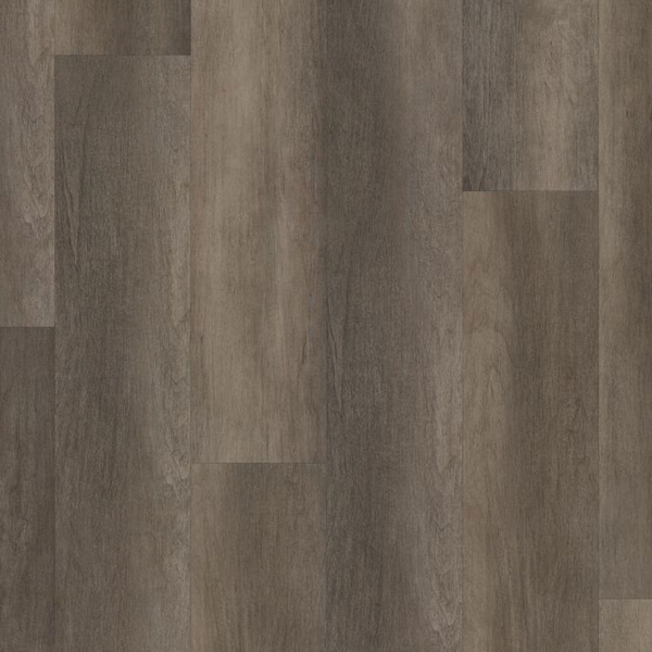 Picture of Philadelphia Commercial by Shaw - Philosophers Tree Bronze