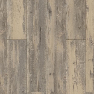 Picture of Philadelphia Commercial by Shaw - G Force 6 Brisbane