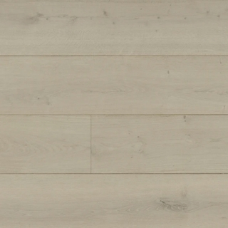 Picture of Monarch Plank - La Grande Parsenn